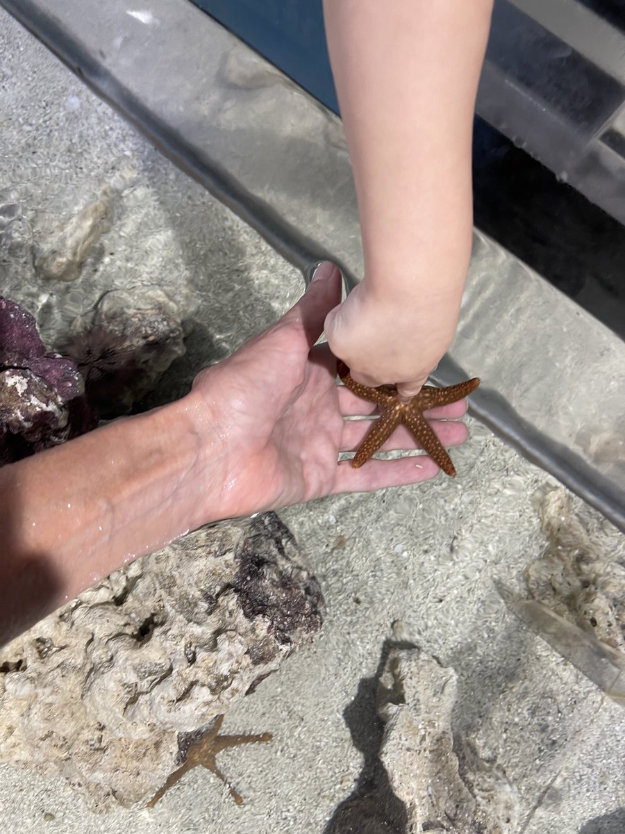 Beth Topinka tweet media