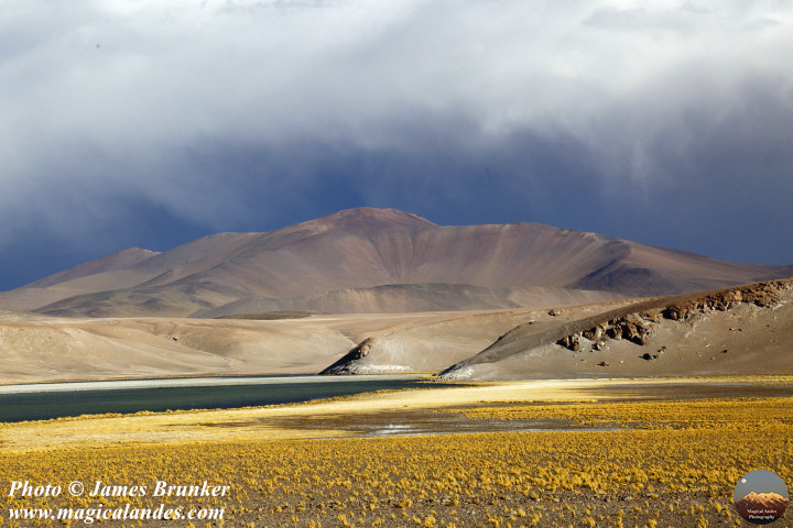 Wonderful #landscapes and #skyscapes in the Puna de #Atacama in #Chile, available as prints and #gifts here: james-brunker.pixels.com/featured/puna-…
#AYearForArt #BuyIntoArt #GiftThemArt @TurismoEnChile @CHILE_TOURISM @RedTurismoChile @Chile_Turismo @MarcaChile @chileestuyo @chiletravel_es