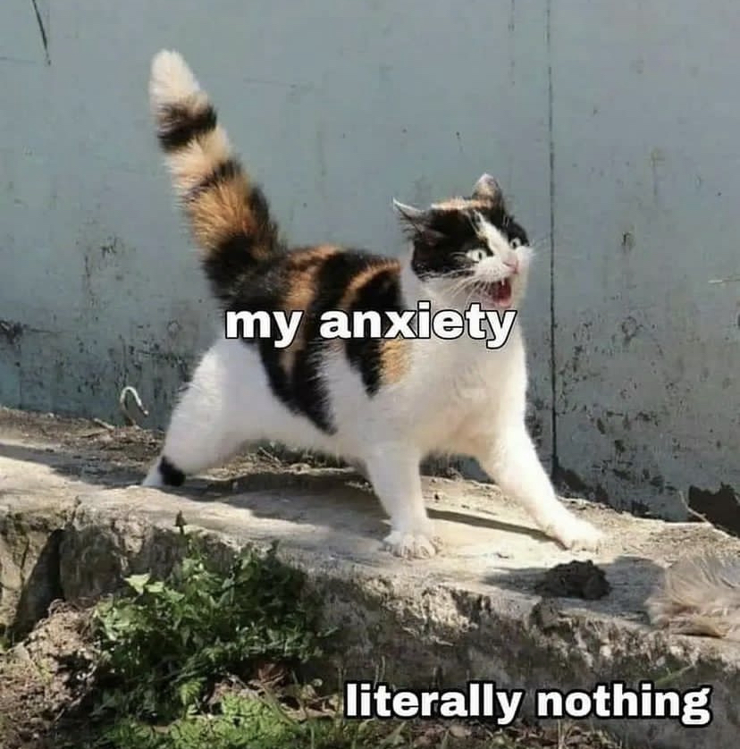 introvertsmemes's tweet image. 