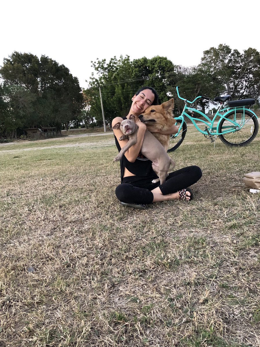 Came 🌑 tweet media