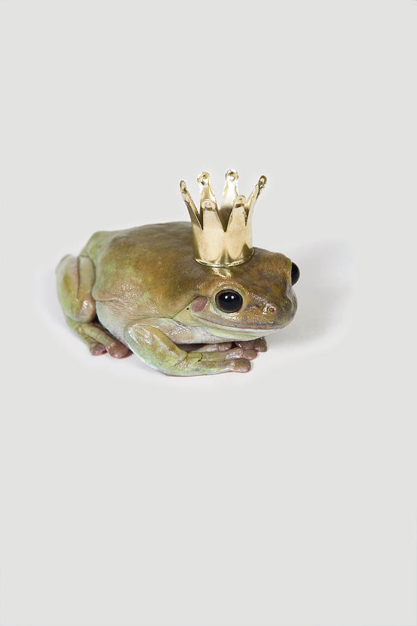 Nikoheart tweet media