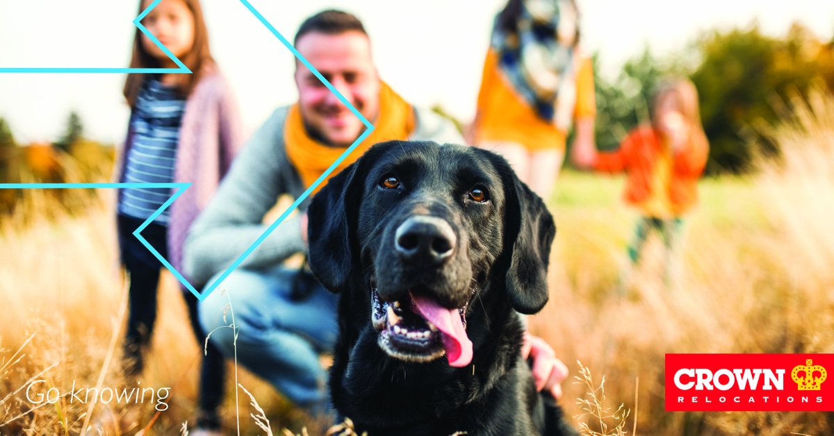 CrownReloNZ's tweet image. Feeling overwhelmed thinking about relocating with your pets?
Here are some key pre-move things you can follow to help with the move &amp;amp; ease your worries. 

Check it out here: ow.ly/q0oe50MozuV

#MovingPets #PetRelocations #PetMovingTips