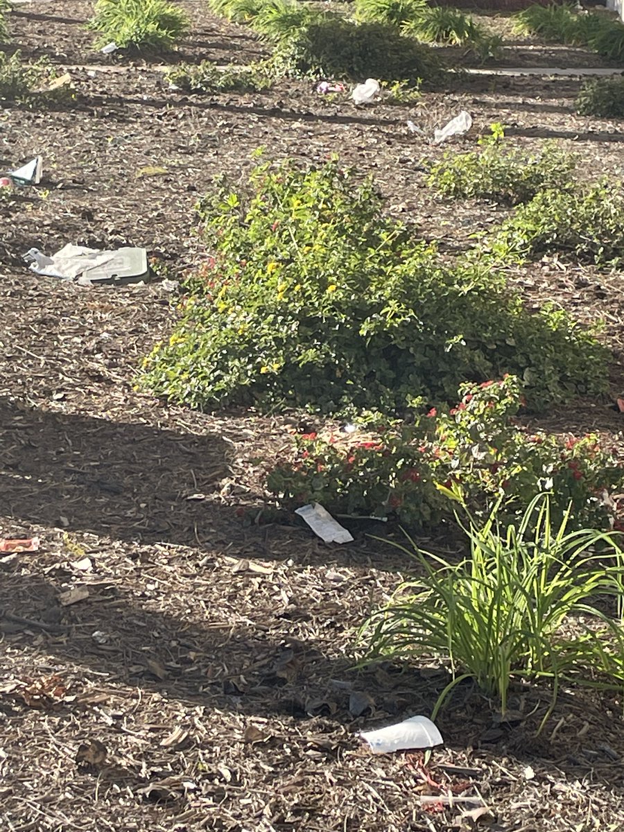 Neighbors For A Better San Diego tweet media