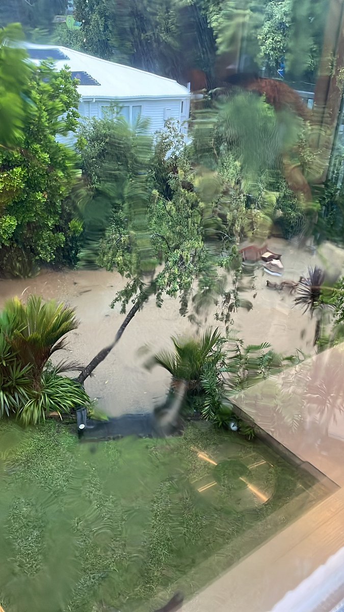 MikeTaylor1980's tweet photo. @publicaddress Next doors backyard in Grey Lynn looking quite floody https://t.co/CyvZsj9nJg