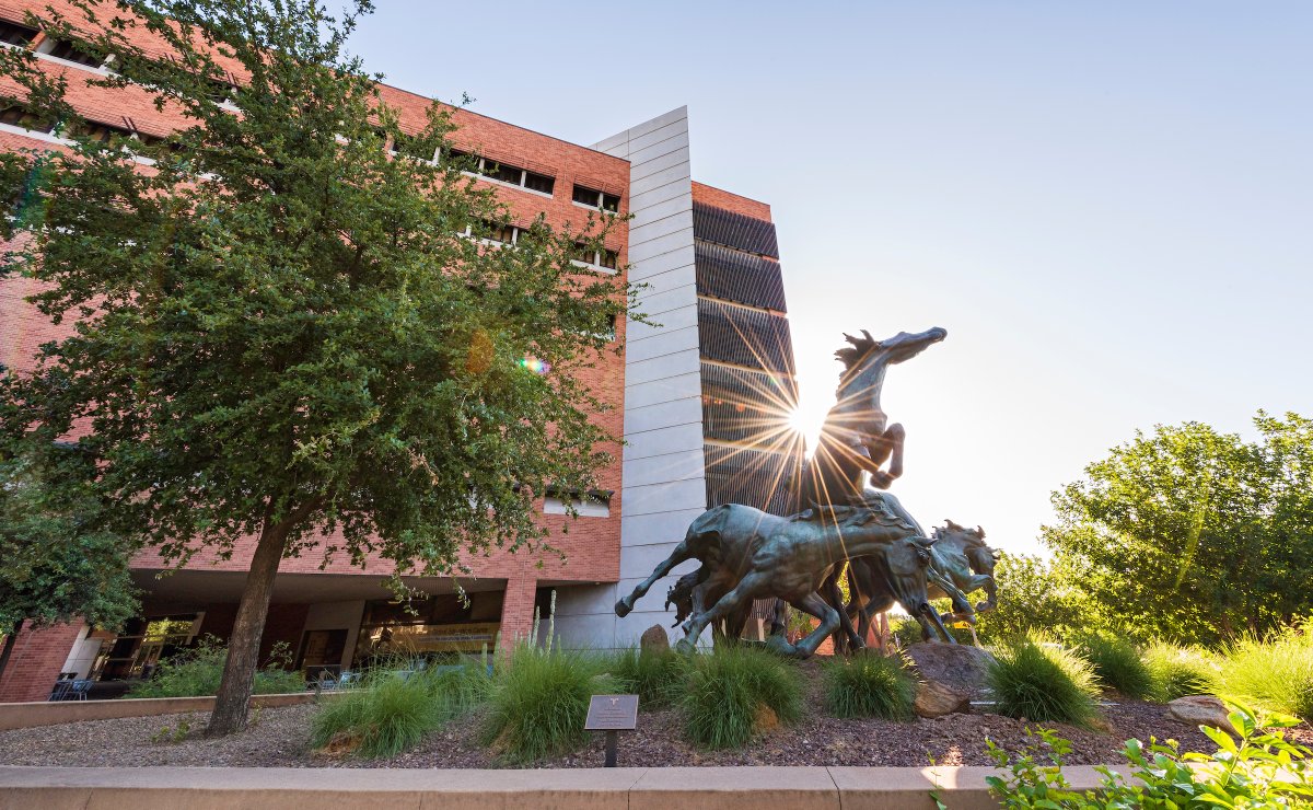 ASU's tweet image. Moving on up! 📈

@USNewsEducation has ranked the @WPCareySchool top 10 across eight programs and disciplines, including taking the top spot for online bachelor’s in business programs. 

More: ow.ly/GijQ50MAAbo

#BestOnlinePrograms