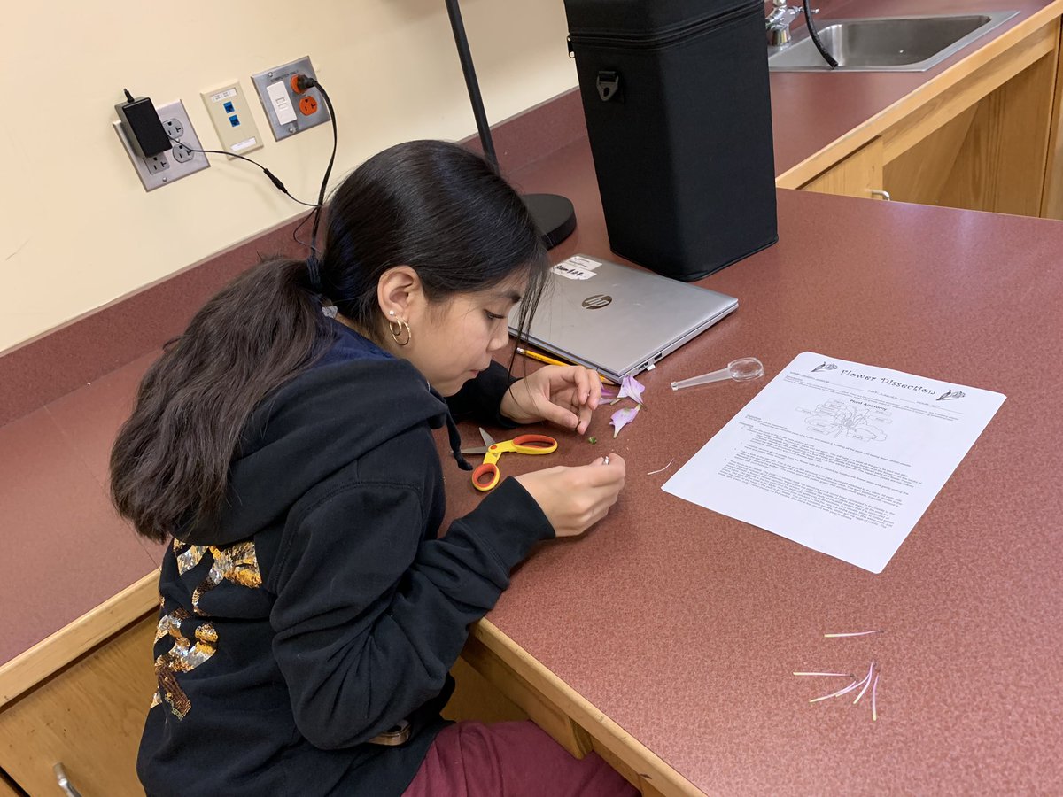 KatieTheWXLady's tweet photo. Our 6th grade scientists had a blast dissecting flowers today! 🙌✂️🌸🔬 #sciencerules #flowerdissection #wpsproud @WichitaUSD259 @MarshallUsd259 https://t.co/A7FYeFwbiZ