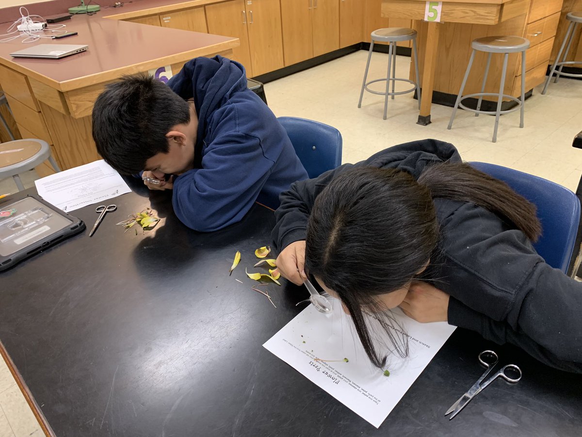 KatieTheWXLady's tweet photo. Our 6th grade scientists had a blast dissecting flowers today! 🙌✂️🌸🔬 #sciencerules #flowerdissection #wpsproud @WichitaUSD259 @MarshallUsd259 https://t.co/A7FYeFwbiZ