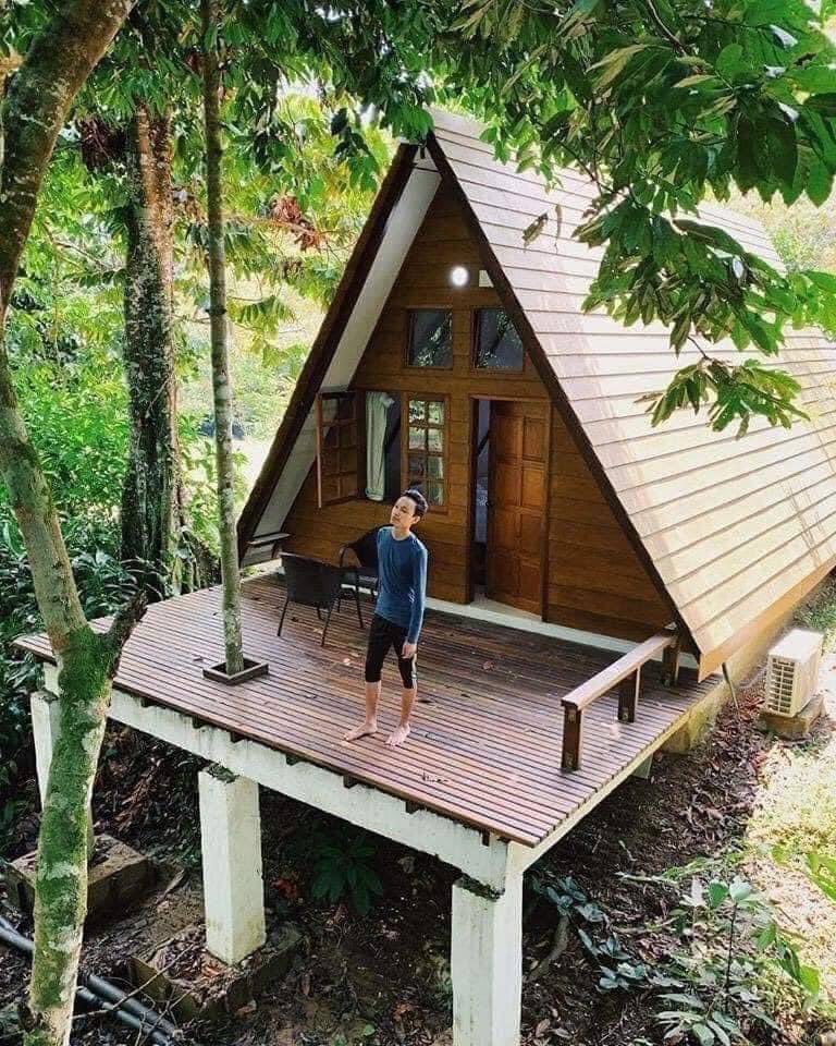 Jomkitamy's tweet photo. Resort dalam hutan yang cantik dekat Janda Baik 🤩 #Jomkita 

Dekat sini ada banyak aktiviti yang boleh buat tau. Ada flying fox, mini zoo, jacuzzi dan lain lain lagi. Korang pergi la resort ni nanti kalau bercuti👍🏻😍

📍Fifty4ferns Resort, Janda Baik, Pahang

Sumber: Ini Okiie https://t.co/CVDf6H8Gol