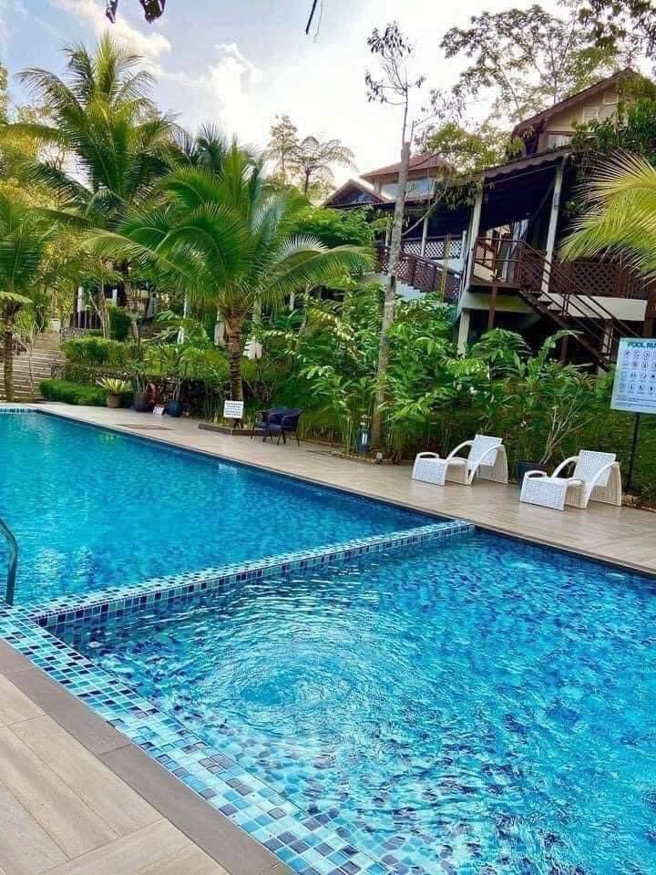 Jomkitamy's tweet photo. Resort dalam hutan yang cantik dekat Janda Baik 🤩 #Jomkita 

Dekat sini ada banyak aktiviti yang boleh buat tau. Ada flying fox, mini zoo, jacuzzi dan lain lain lagi. Korang pergi la resort ni nanti kalau bercuti👍🏻😍

📍Fifty4ferns Resort, Janda Baik, Pahang

Sumber: Ini Okiie https://t.co/CVDf6H8Gol