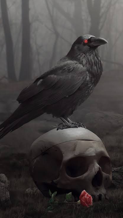 Se vienen anuncios para los fans de la Parvada en los próximos días y anunciaremos los jugadores y staff que representarán a Morrigan Esports en el 2023 #LeagueOfLegends