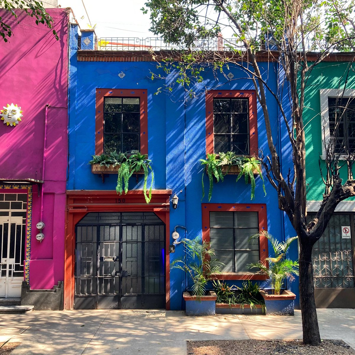 ledossier's tweet photo. CDMX writing holiday to polish off some stubborn lyrics (and escape January in NYC). https://t.co/hytmDqB8GD