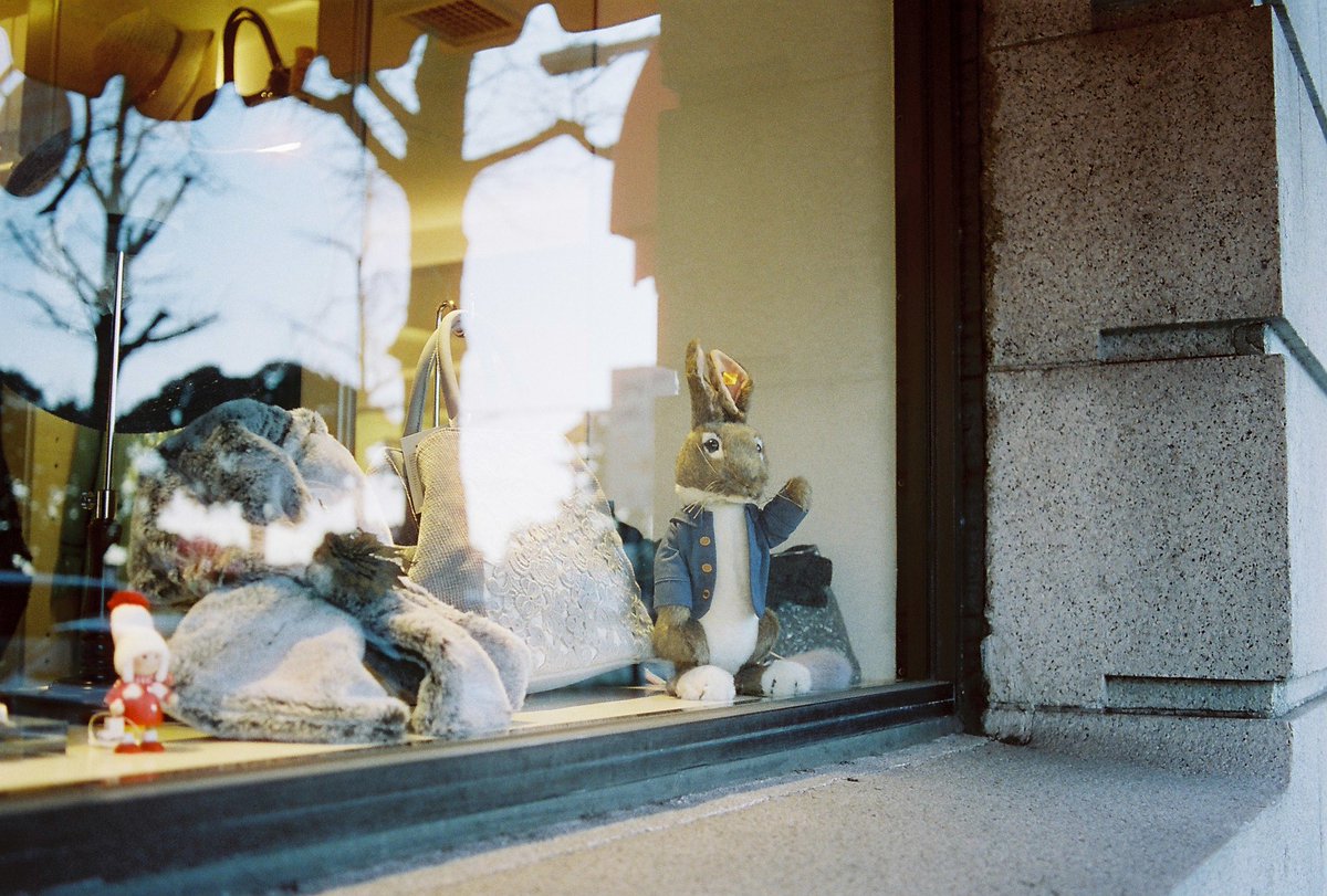 champcamera's tweet image. Summer 400 by #青葉台 店

シンガポールの現像所・Hands on Filmが独自開発した汎用現行 #カラーネガ。発色自体はニュートラル寄り。大きめの粒状感と褐色に滲むハイライトがレトロムービーのようです。（作例ご提供：SHIO様）

#Summer400 #HandsonFilm #ISO400 #田園都市線
champcamera.co.jp/topics/?id=ao_…