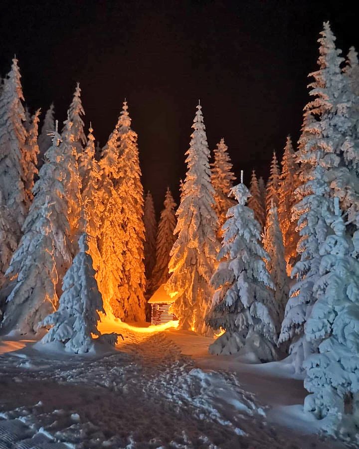 Sophia Brite (@sophiabrite) on Twitter photo 