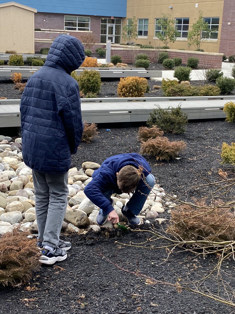 Today #7Thunder scientists created their own ecosystems for our Ecology Unit. Students will recording observations for about two weeks and then will carry out a human impact on the ecosystem to see how the biotic and abiotic factors inside respond.  #InquiryBasedLearning