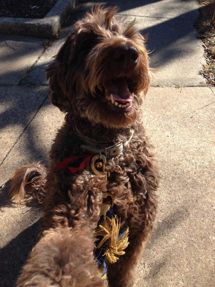 Albert Rivers tweet media