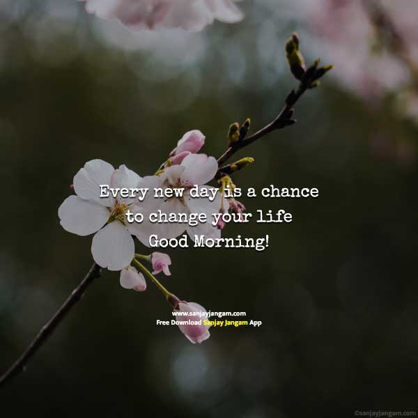 drlalpathlab4's tweet image. 