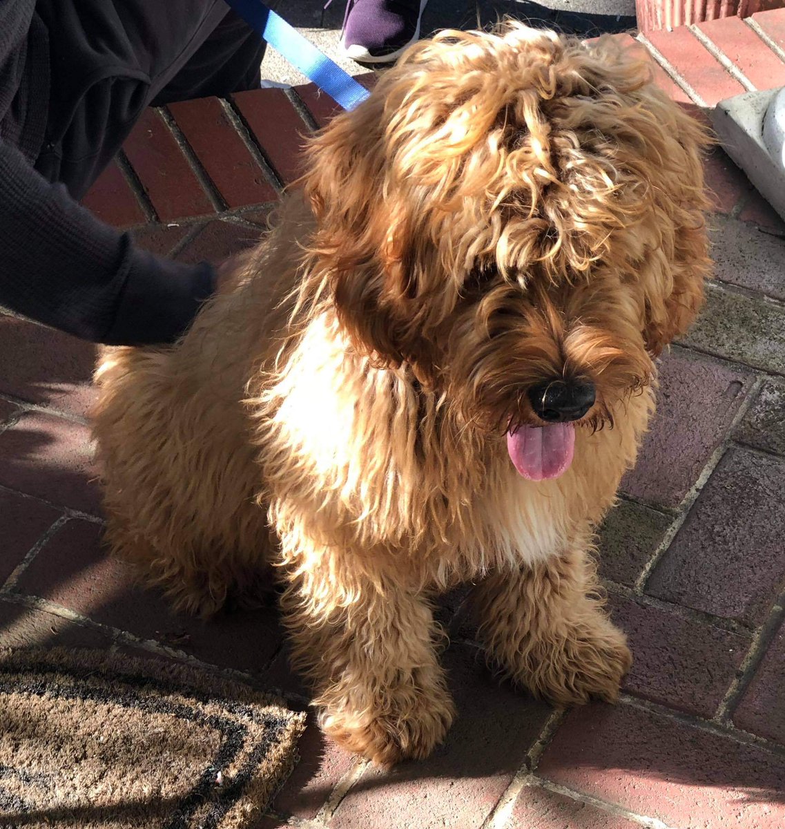 Albert Rivers tweet media