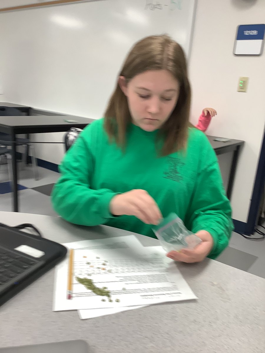 FMSteam7C's tweet photo. Renew a Pea https://t.co/cTZd6Ockk0