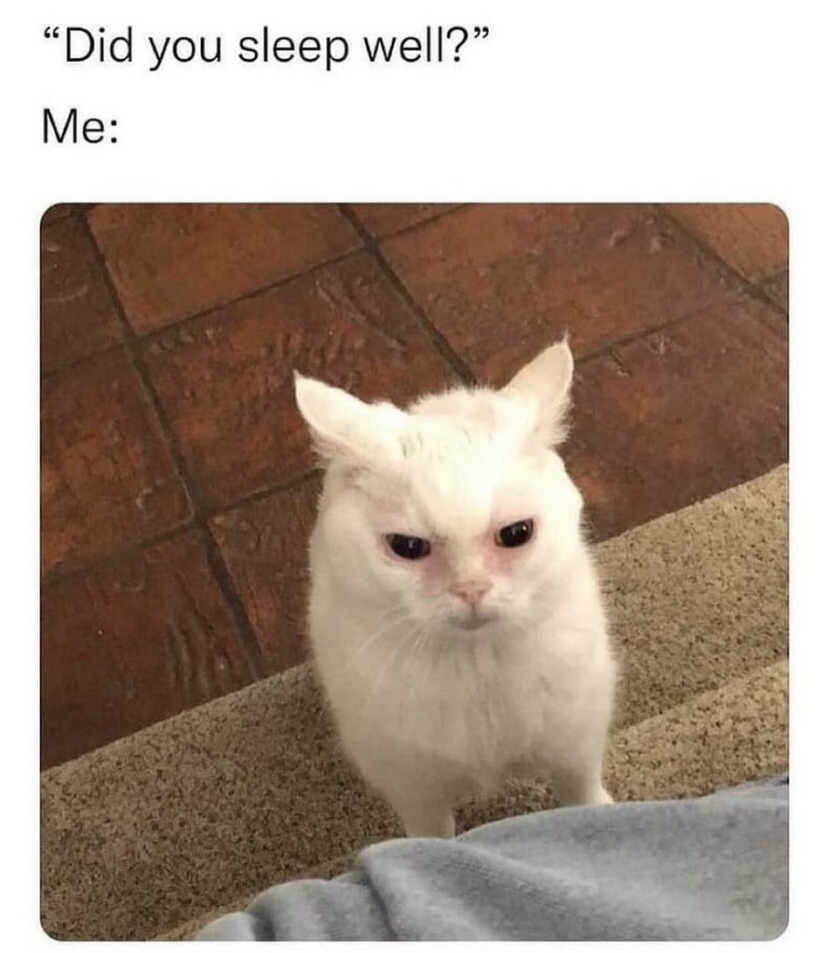 introvert memes (@introvertsmemes) on Twitter photo 