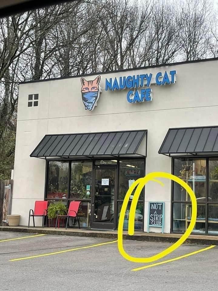 AndieLadyBlue's tweet photo. It’s time for purring fun and laughter on #CallMeKat. @missmayim I saw this and thought you might get a kick out of it. x a @CallMeKatFOX https://t.co/pyw5XstZZG