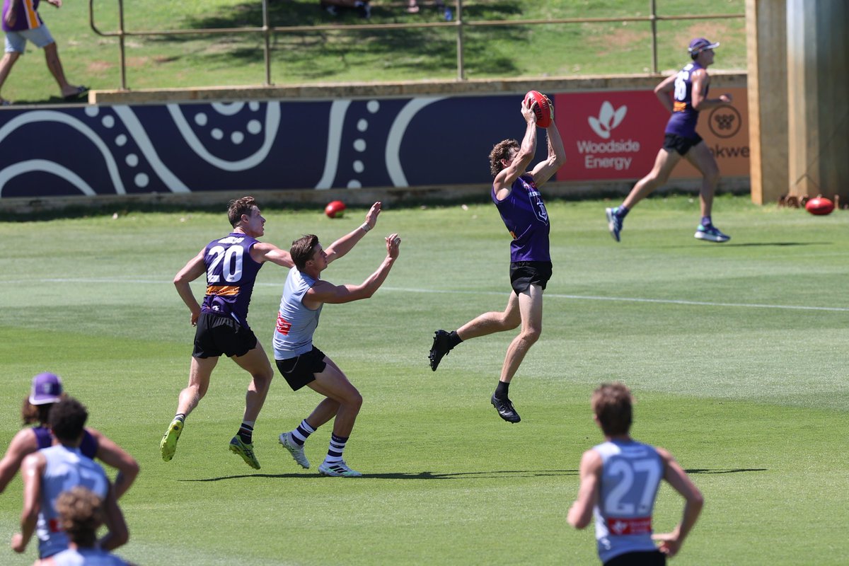 Fremantle Dockers tweet media