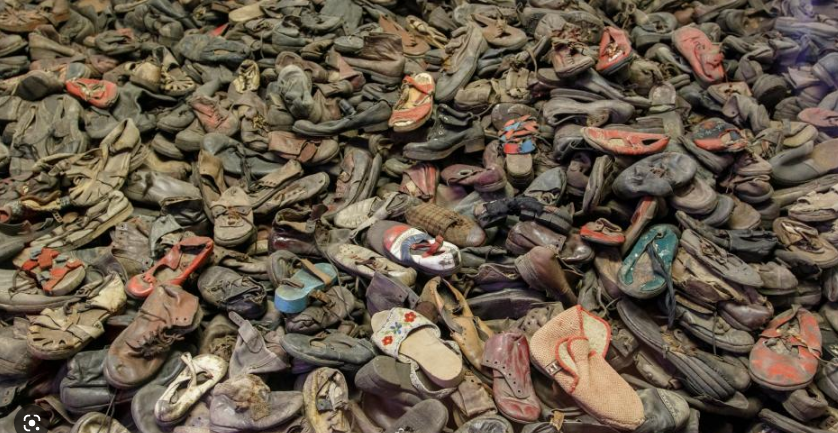 AlTaylorNZ's tweet photo. Disappointing to see more coverage of rain in Auckland than of #HolocaustMemorialDay
#BookOfNames #LestWeForget #NeverAgain
@yadvasham @TVNZNews_RBX @NZStuff
Emotional new Holocaust installation on display at United Nations https://t.co/ryPUora7aA https://t.co/ELSBwgMPDy