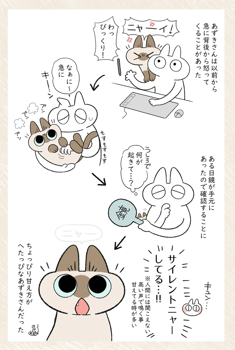 背後から急に怒ってくることがある愛猫！ある日、背後で何が起きているのか鏡で確認してみたら･･･！