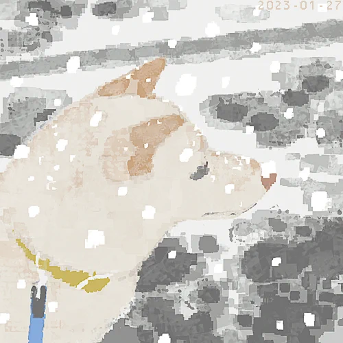 白すぎない白い犬 