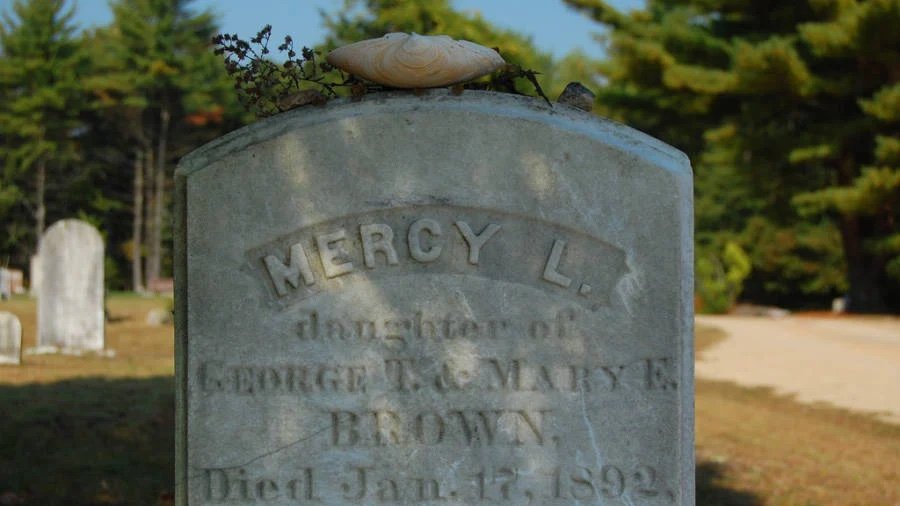 snupod's tweet photo. Maybe the people of New England couldn’t end consumption, but maybe the knowledge that their loved ones died as they stood by was too much. Maybe #MercyBrown gave survivors something to fight against and a way, however ultimately fruitless, to fight against it. https://t.co/tTXgL6dQqy