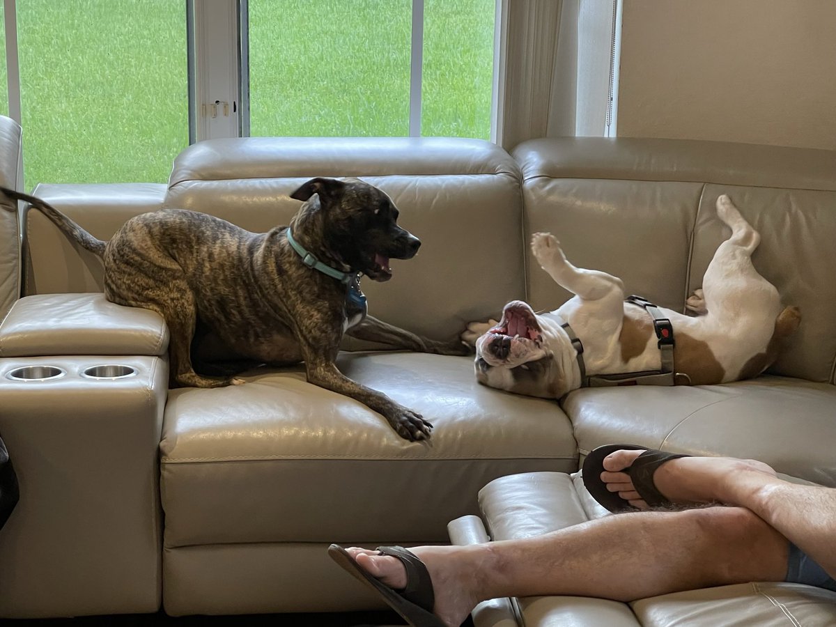 Mitch Heller tweet media