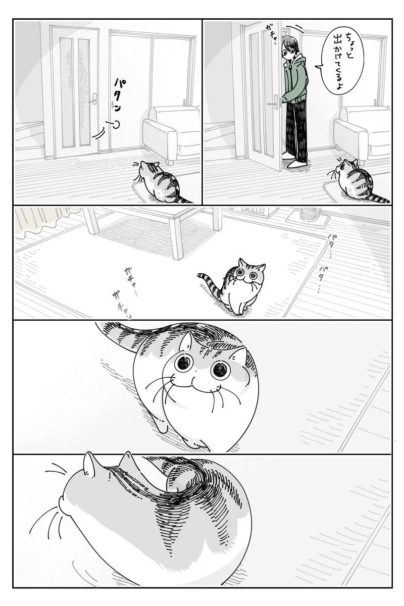 出かけようと外へ出たら飼い猫が窓のところまで見送りに！しかし、こちらを見るや否や･･･！