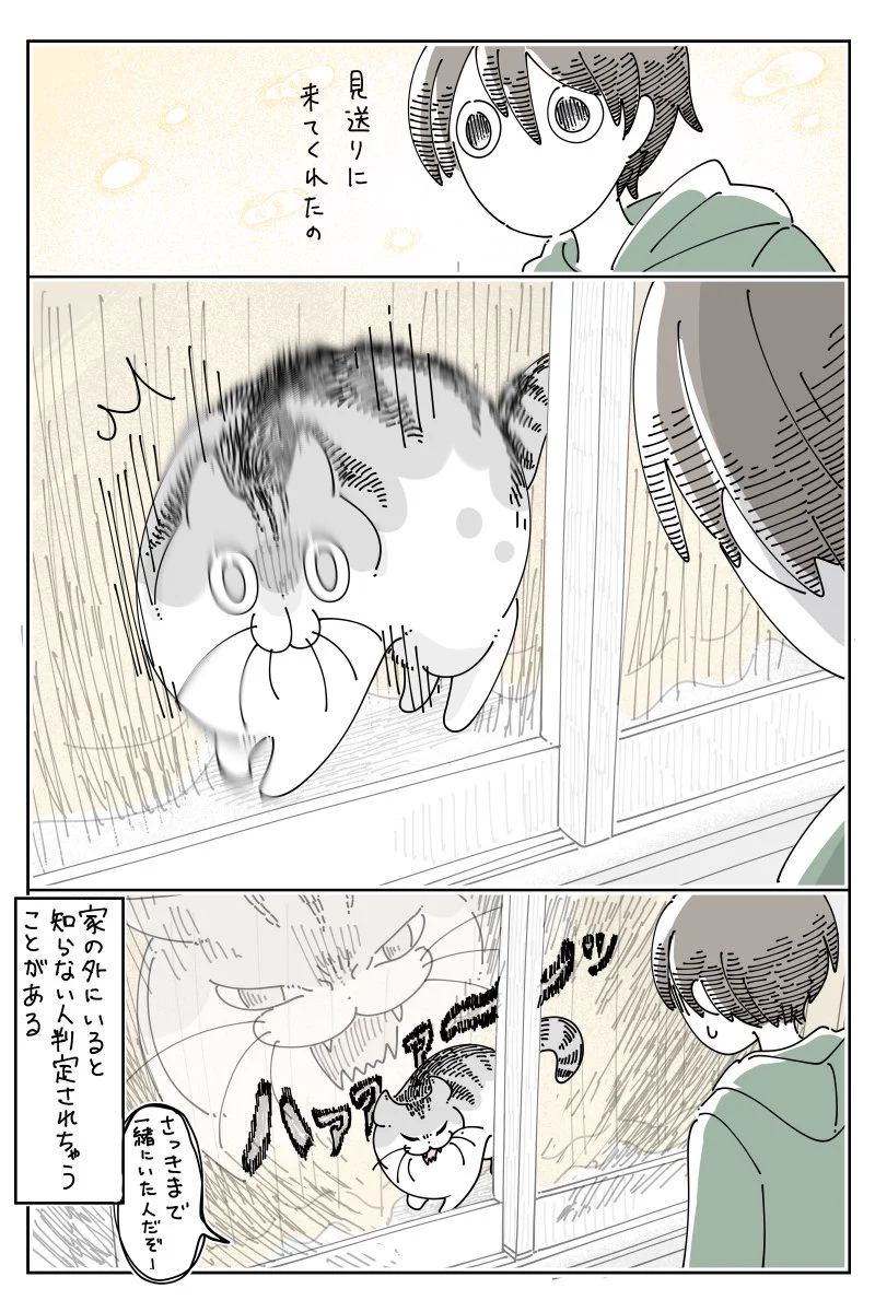 出かけようと外へ出たら飼い猫が窓のところまで見送りに！しかし、こちらを見るや否や･･･！