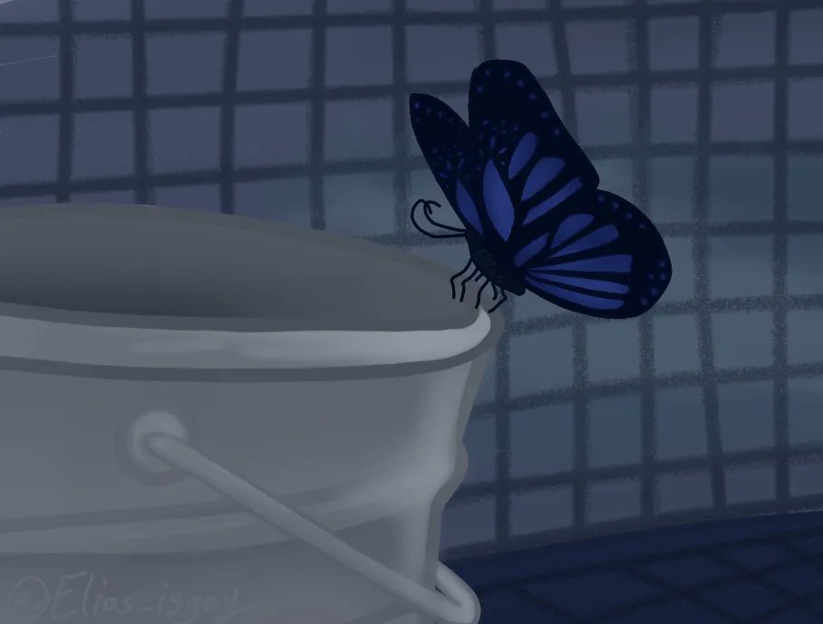 Elias_isgay's tweet photo. It's just a butterfly photo... right๐ฆ
#lifeisstrange #lifeisstrangeart #art #artist #digitalart #butterflyart #digitalartist #lifeisstrangegame #lifeisstrange2 #lifeisstrangebeforethestorm #lifeisstrangeartfanart #lifeisstrangemax #maxcaulfield #chloeprice https://t.co/VXJhIOyUA6