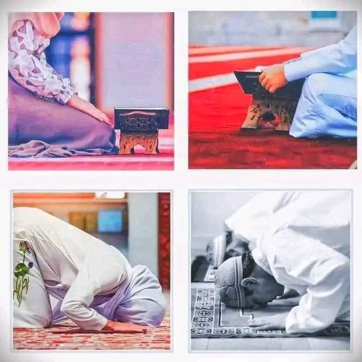 ✨

وَ لَلۡاٰخِرَۃُ خَیۡرٌ لَّکَ مِنَ الۡاُوۡلٰی°📿🖇️
اور آخرت تمہارے لیے دنیا سے کہیں بہتر ھے❤✨
_🖤🦋_