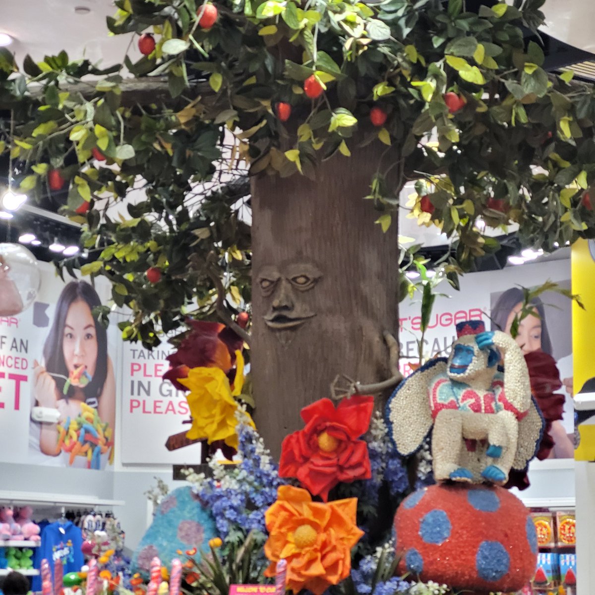 slayton16's tweet photo. @PodcastTheRide I think in scary trees territories... the citywalk its sugar one makes the list. https://t.co/5XDaHpJFIi