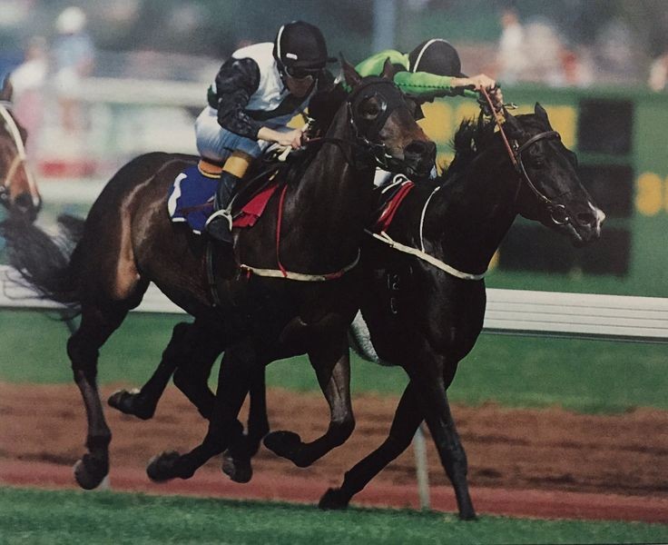 RODS RACING tweet media