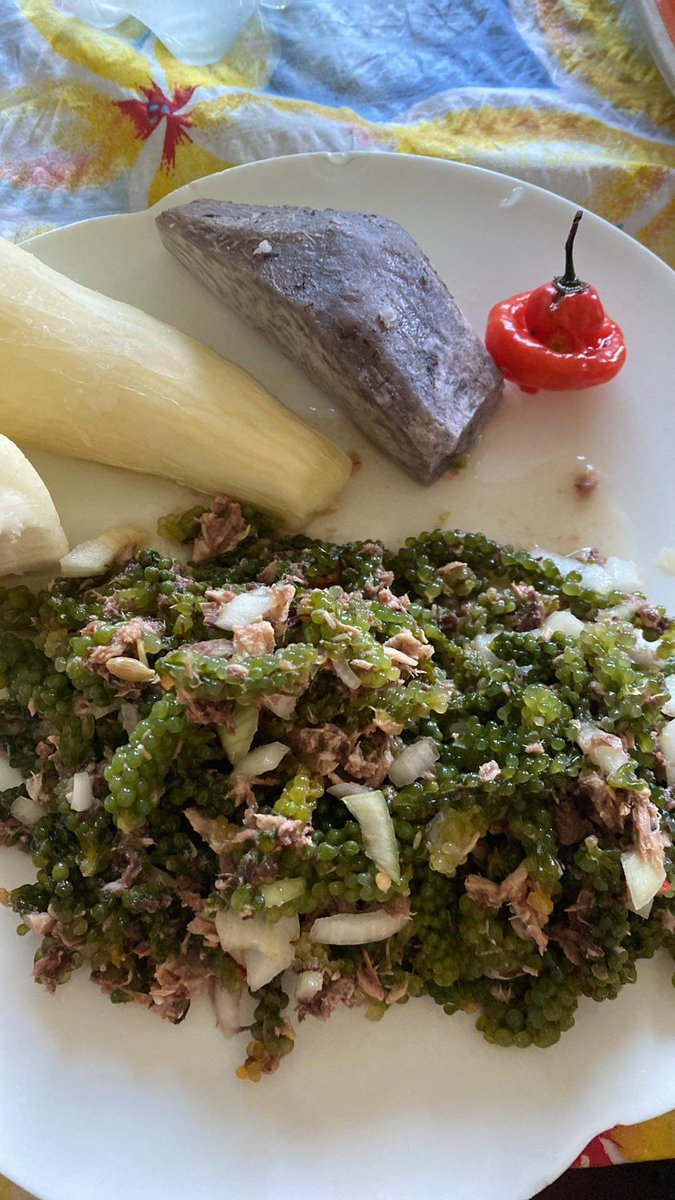 2DayFM_Fiji's tweet image. Mai kana! 🫠
#kusima 
#2dayfmfiji