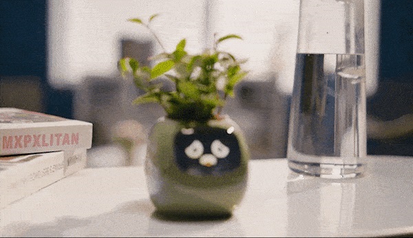 straightpress's tweet image. 日本初上陸！観葉植物とコミュニケーションがとれるスマートプランターが発売開始

▼記事はコチラ↓
straightpress.jp/20230127/832636

観葉植物とコミュニケーションがとれるスマートプランターを手に入れてみては。@straightpress
#Realstyle