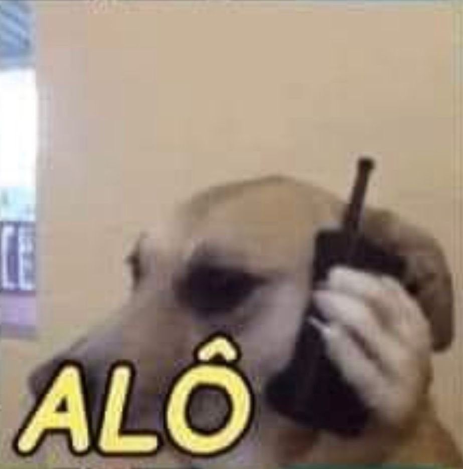 brainnerrocha's tweet photo. @shitpostverdade https://t.co/boz3k6gPRG