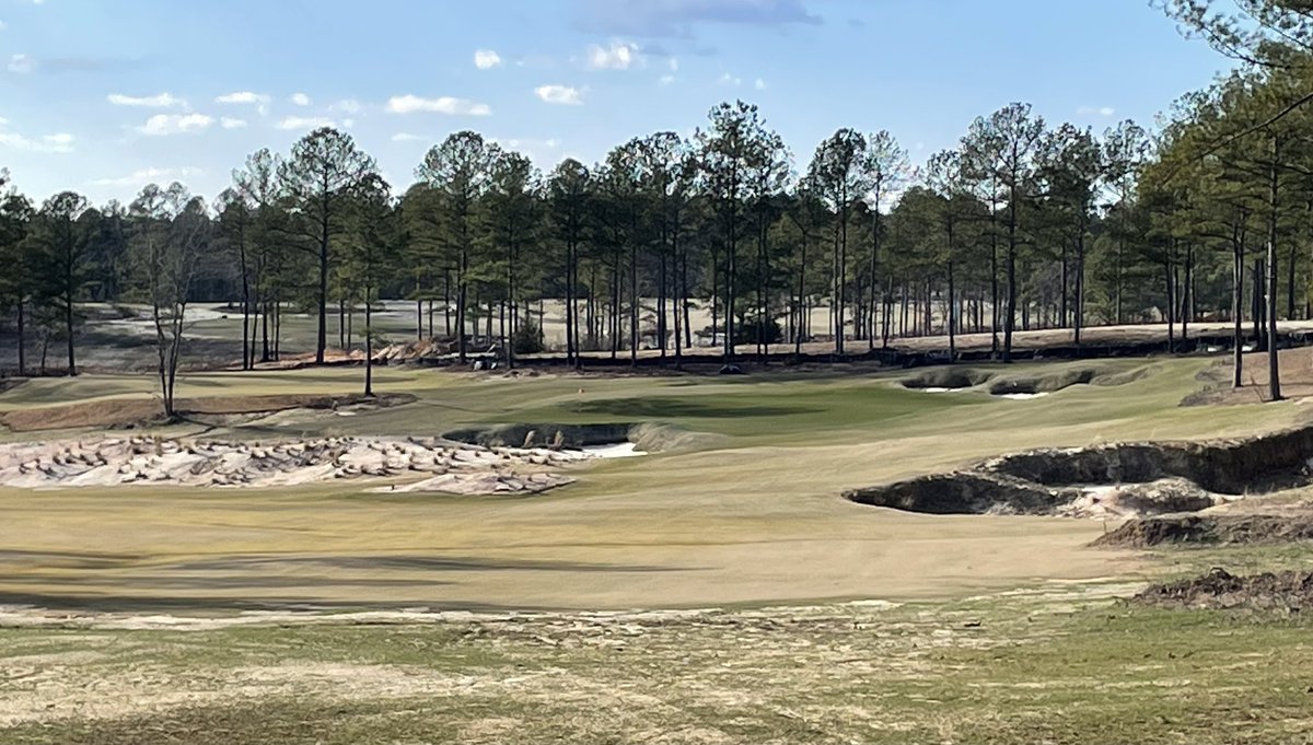 Doug Bradshaw tweet media