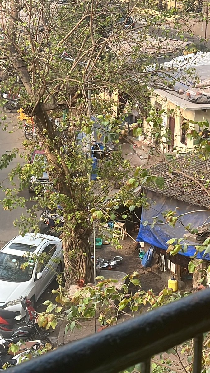 Da1GowaliaTank's tweet photo. 11 days after initial complaint #Dward @mybmcWardD @mybmc @PrashantNGaikwd @IqbalSinghChah2 still #NO #Action on Tejpal Road. You talk about beautification of Mumbai, Rs 16-20 Crs being spent of #Citizens #Tax #Money, and this is what we have to live in. #VoteBank hence #NoAction https://t.co/J7uzE8TA6I