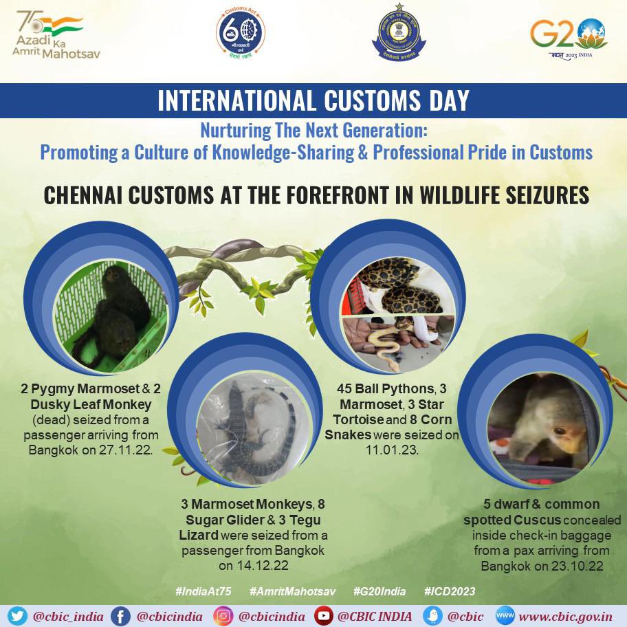 .<a href="/ChennaiCustoms/">Chennai Customs</a> at the forefront in protecting wildlife.

#ICD2023
#InternationalCustomsDay