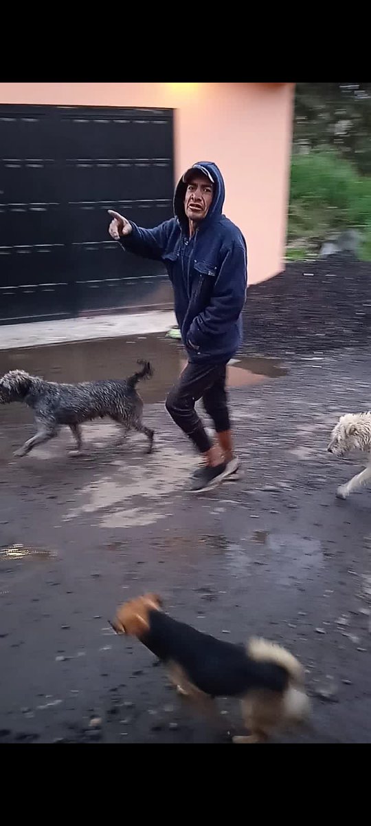 <a href="/Firemonstertmp/">Fernando Molina</a> Este es el asesino de mi perrito 😭 ayúdenme a difundir