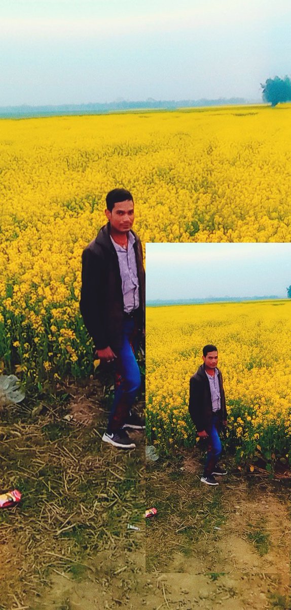 Good morning all twitter friends