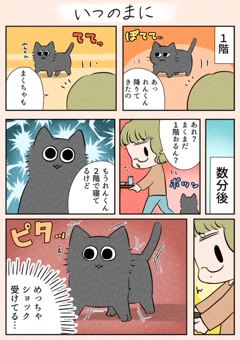 また投稿できていなくてすみません…😭
夜にもう一つ投稿します!

「いつのまに」
まくはれんくんが大好きなので…少しの間固まってました(笑)

#漫画が読めるハッシュタグ
#日常
#猫 