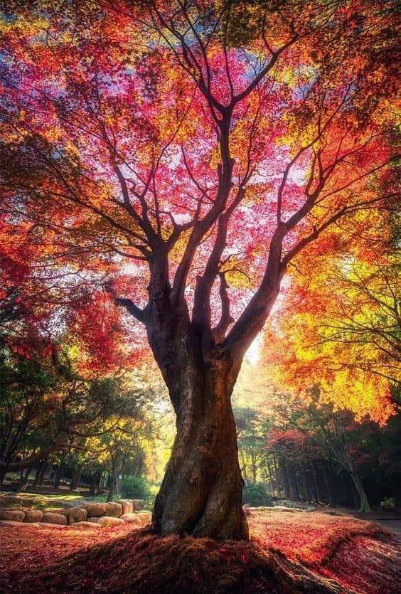 Love_OnlyUU's tweet image. Good Morning💞