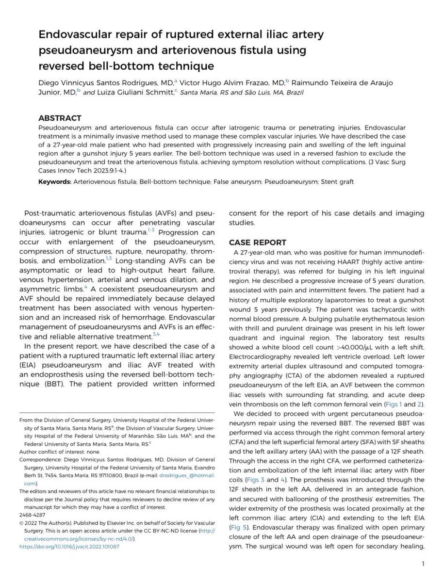 Luiza Giuliani Schmitt, MD tweet media