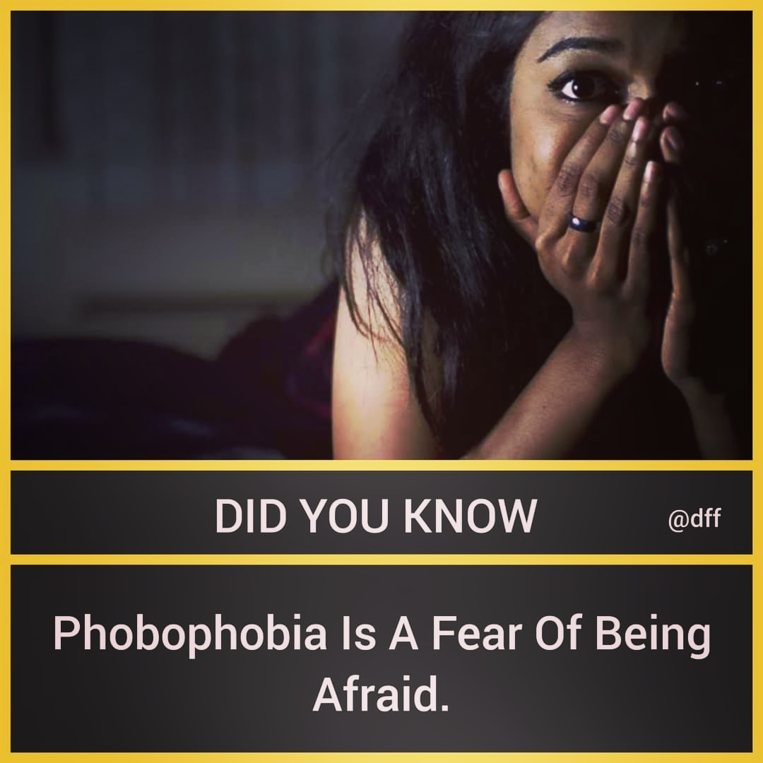 Phobophobia 😨
To know more just click the below link. 👇
fastfactsff.blogspot.com/2022/11/phobop…
Don't Forget To Follow My Page..  🙏
#phobophobia #fear #fearness #being #phobia #human #afraid #psychology #humanfacts #psychologyfacts #DailyFunFacts #918Facts