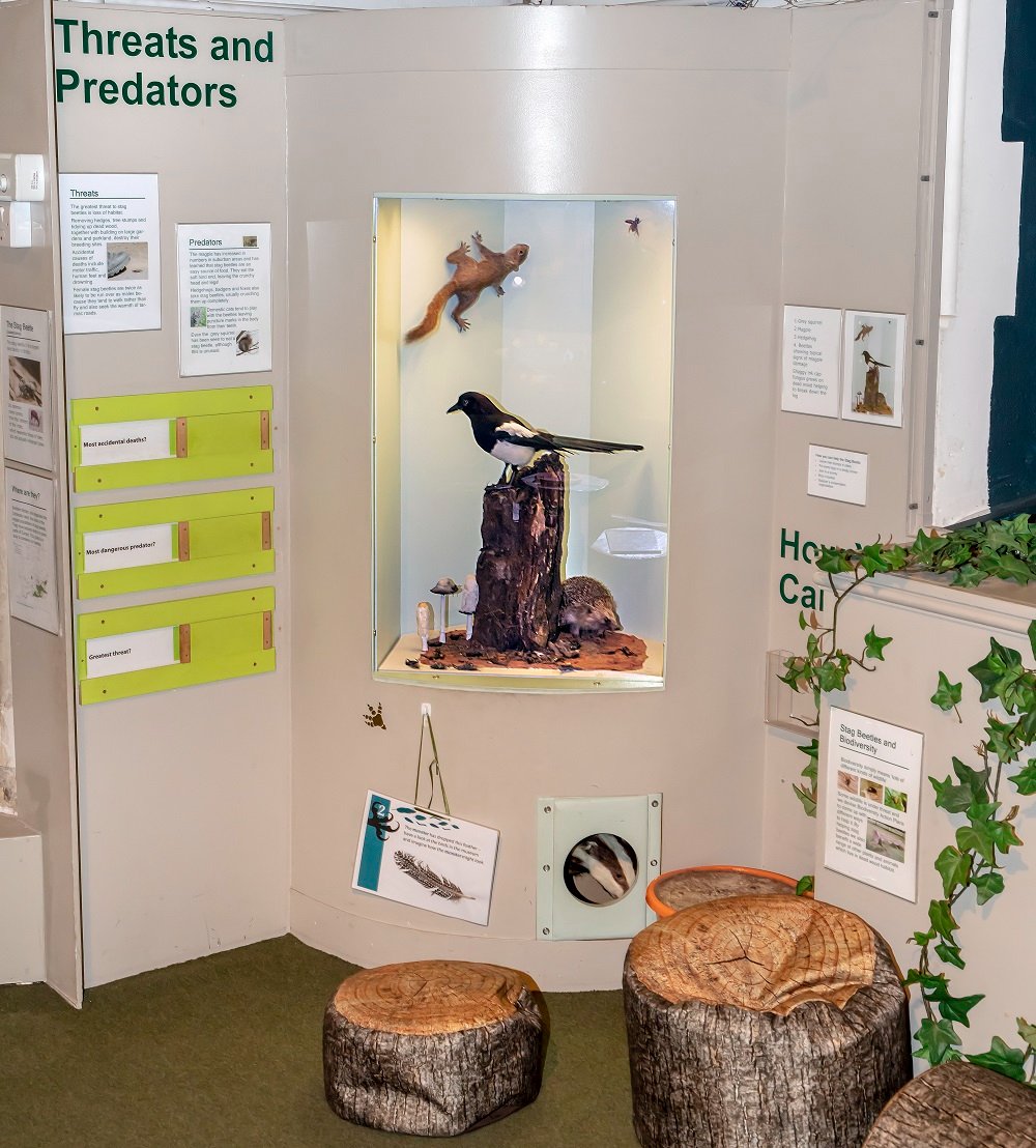ColMuseums's tweet photo. #DidYouKnow British birds are short of nesting holes? Our gardens, parks and woodland are neater than they used to be, depriving birds of natural holes to find a home. Learn how you can help our feathered friends by visiting https://t.co/IQ3Lgn6fmd!
#NestBoxWeek #GreenMuseums https://t.co/xlL8h36353