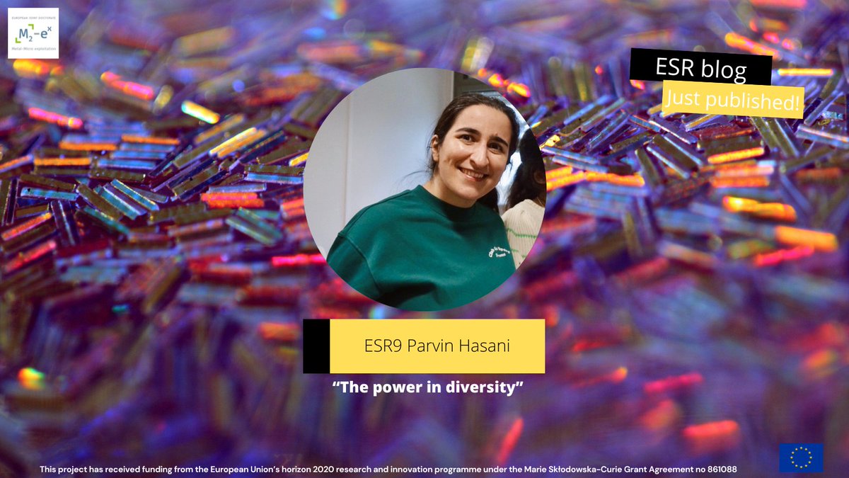 M2ex_ITN's tweet image. #M2exESRBlog: ESR9 Parvin Hasani and
"The power in diversity" 👩💻
Click here to discover👉: m2ex-ejd.eu/2023/01/27/par…
@Mariecurie_alum @MSCActions
#PhDlife #MSCA #ESRs #ITN
